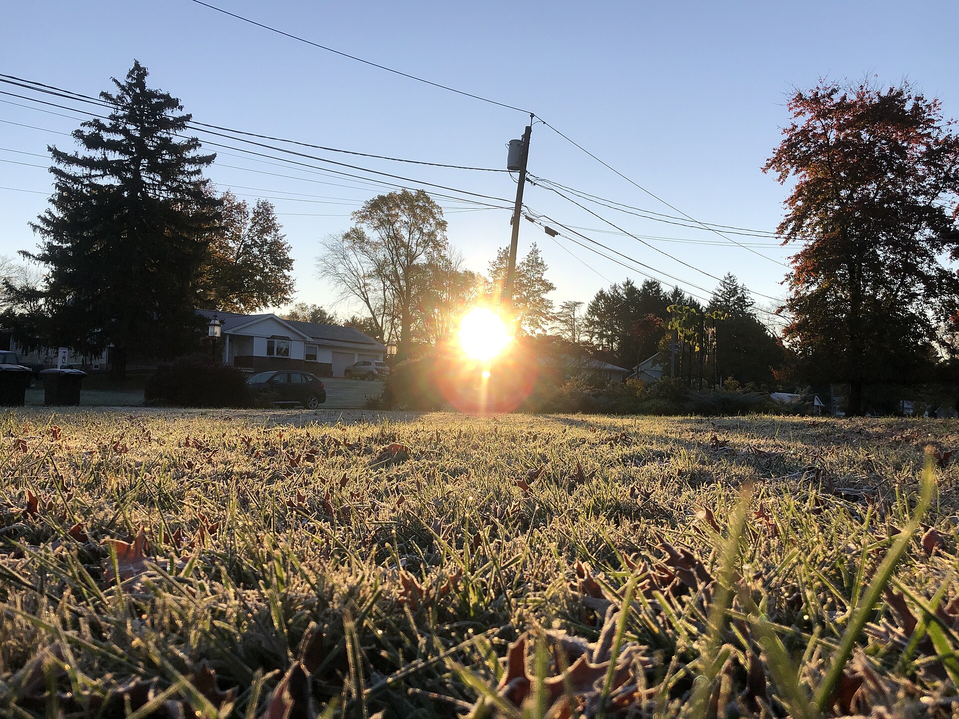 lawn care in jacksonville fl, lawn treatment in st augustine fl, lawn fertilization in st johns county fl