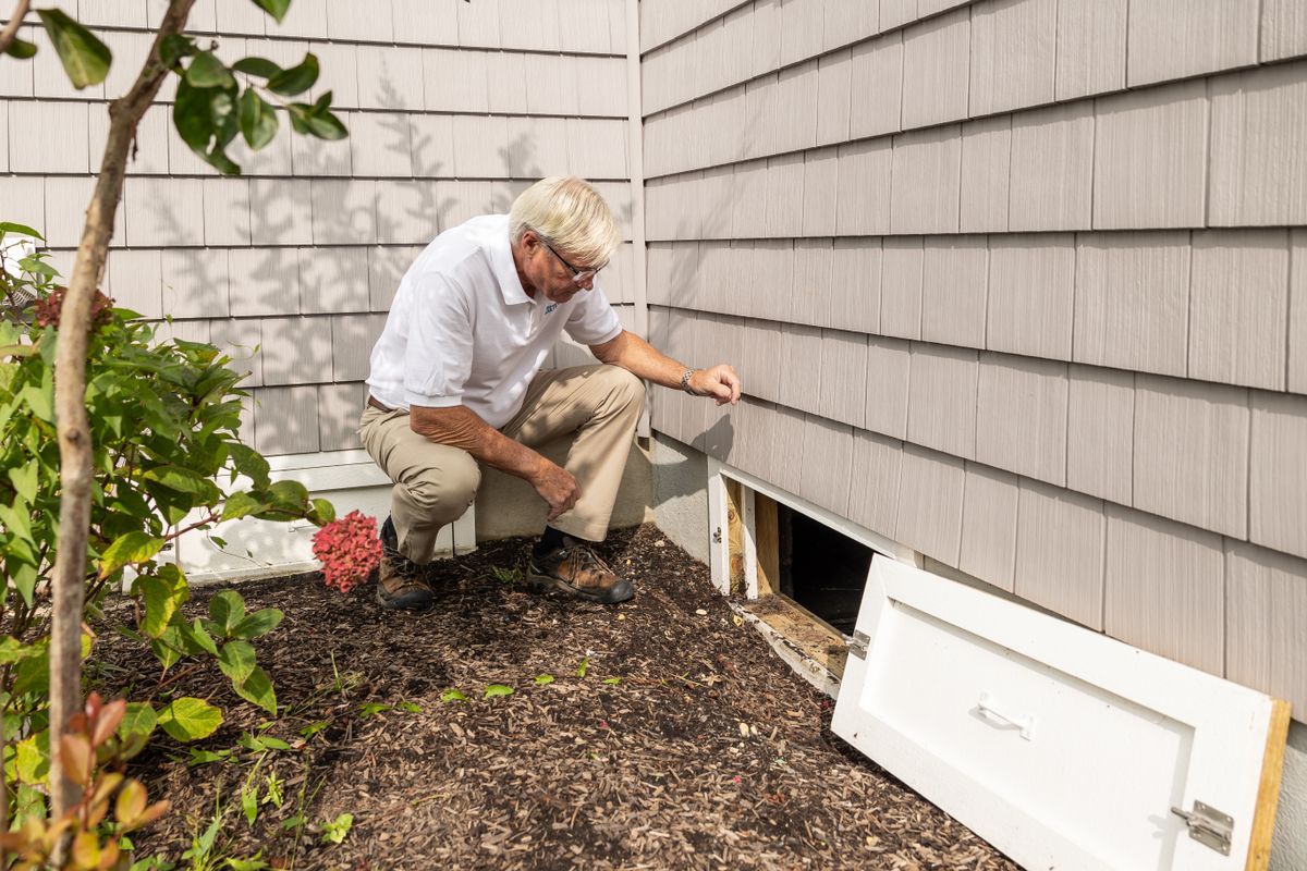 termite inspection in nocatee fl, termite control in jacksonville fl, termite treatment in ponte vedra fl