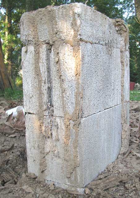 termite control in jacksonville fl, termite inspection in st augustine fl, termite treatment in st johns county fl